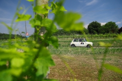 percorso_2